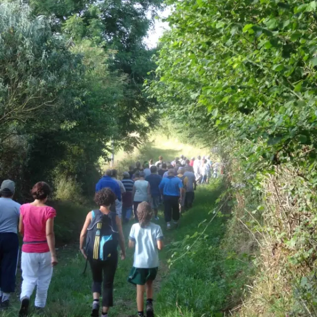 Un groupe de personnes marche sur un sentier forestier durant une randonnée