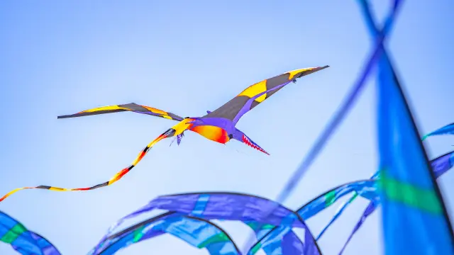 Bunter Drachen in Vogelform, der am Himmel fliegt