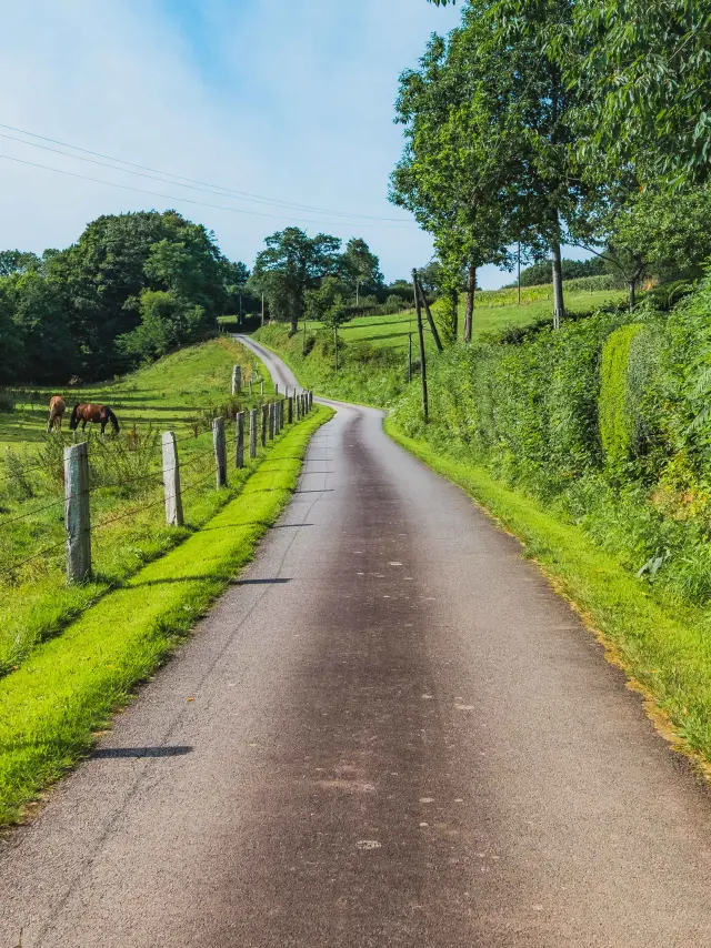 Winding road bordered by greenery and wooden fences