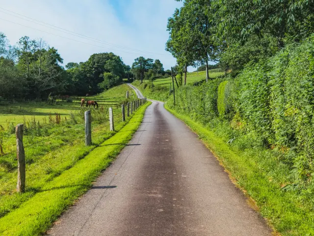 Route sinueuse bordée de verdure et de clôtures en bois dans le bocage