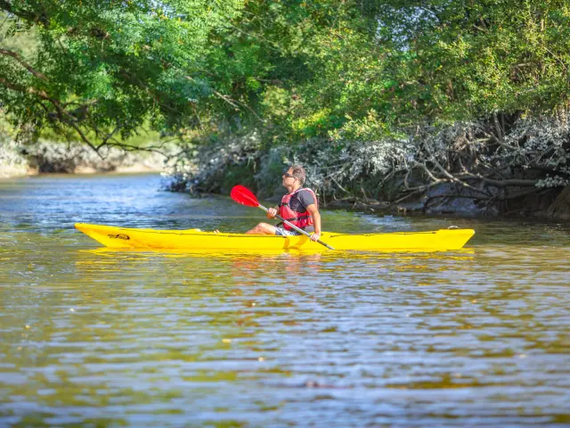 Kayak sur la Sienne