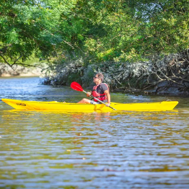 Kayak sur la Sienne