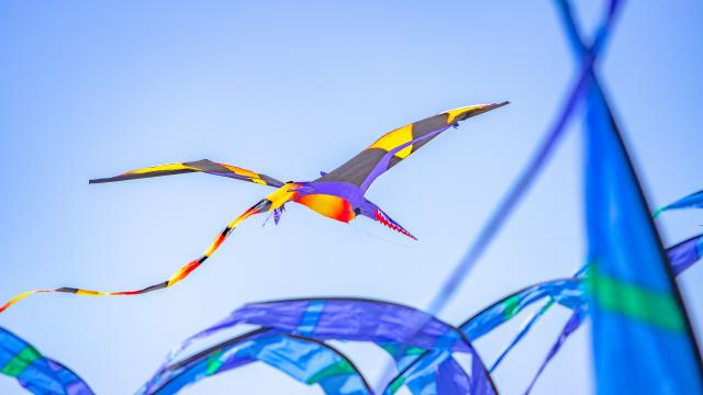 Colorful kite shaped like a bird flying in the sky