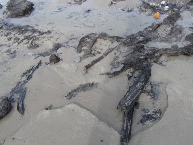 Branches noires sur une plage de sable
