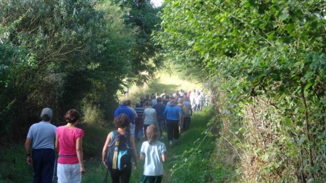 A group of people walking on a forest trail