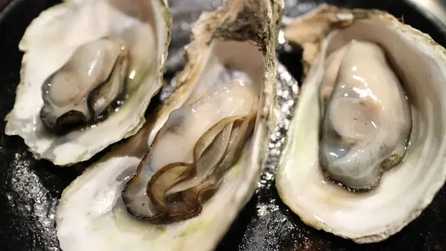 Huîtres fraîches dans leur coquille, prêtes à être dégustées
