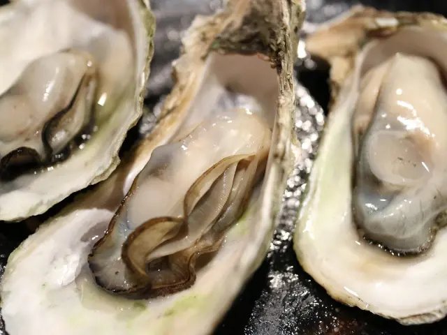 Huîtres fraîches dans leur coquille, prêtes à être dégustées