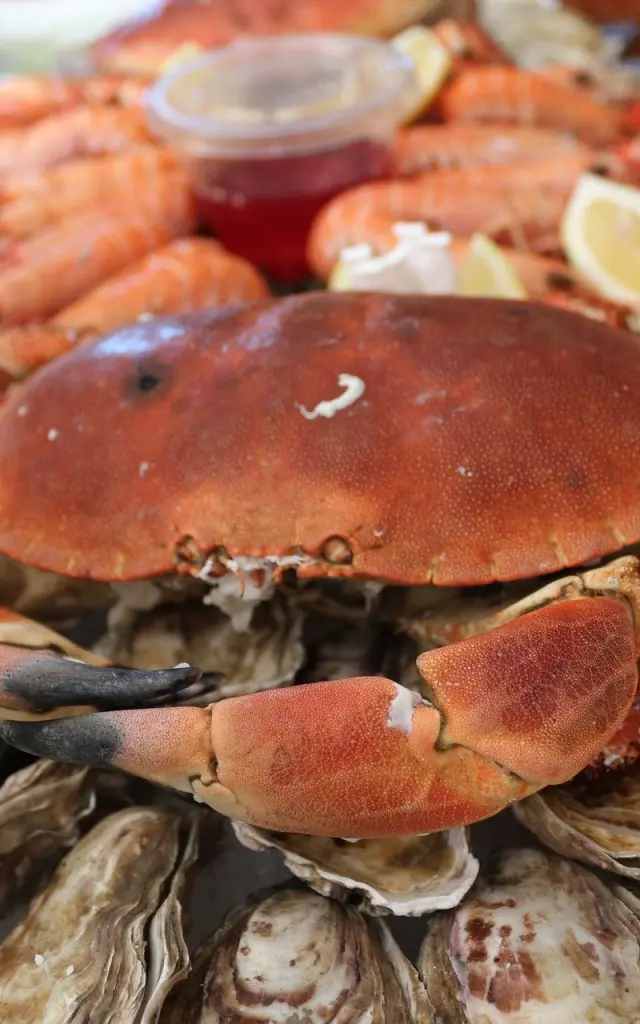 Plate of seafood with crabs, shrimp, and oysters