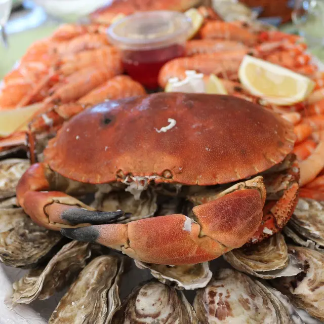 Plate of seafood with crabs, shrimp, and oysters