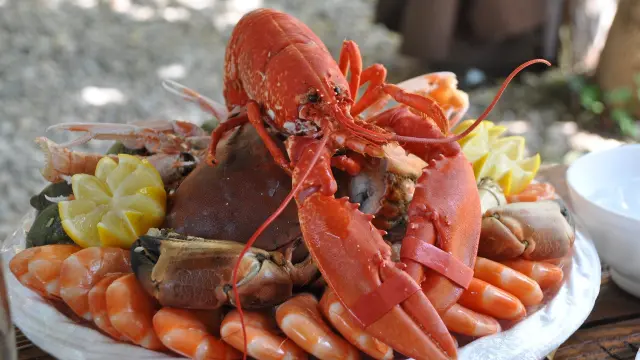 Seafood platter with lobster, shrimp, and lemon