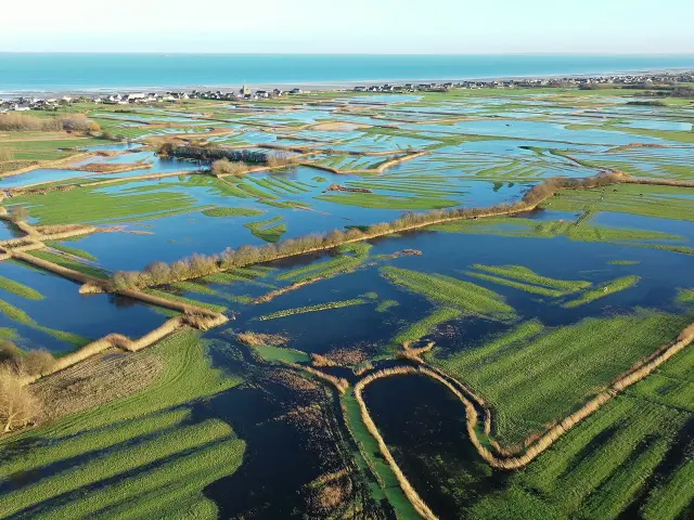 Vue aérienne de marais du Cotentin