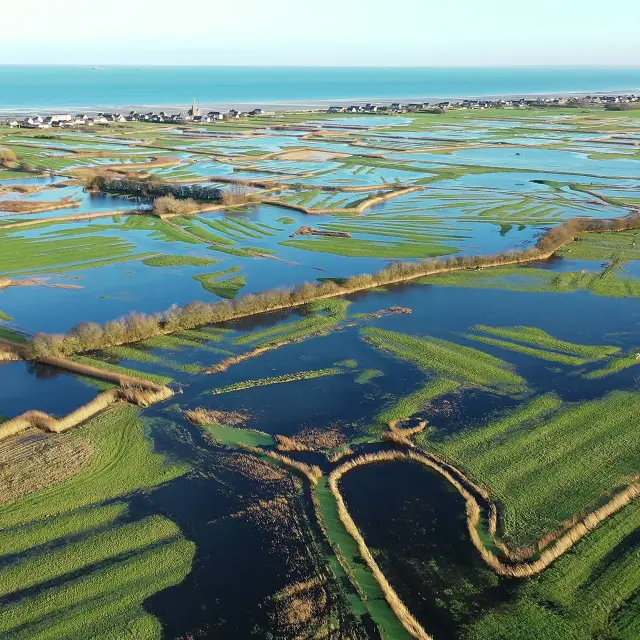 Aerial view of coastal wetlands with canals and green fields