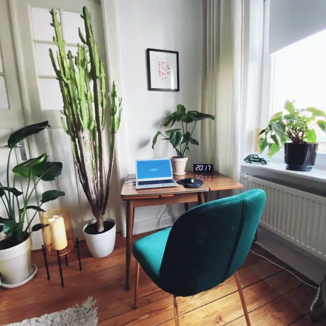 Bureau en bois avec ordinateur portable, plantes vertes et chaise verte