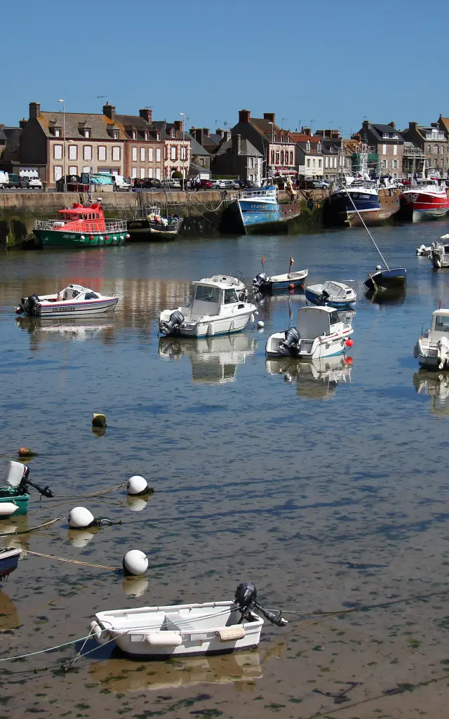 Fishing boats moored in a harbor with buildings in the background