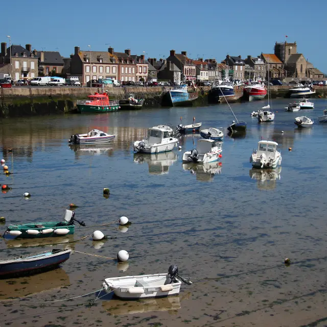 Fishing boats moored in a harbor with buildings in the background