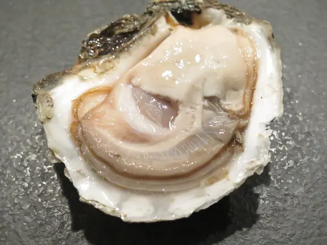 Open oyster with its contents visible, placed on a bed of crushed ice