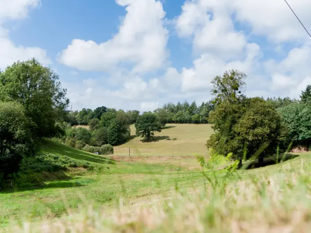 Bocage