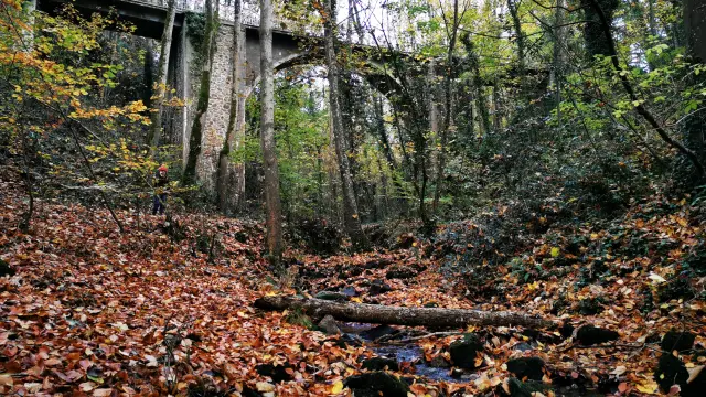 Un pont en pierre traverse une forêt dense en automne dans la vallée des peintres de Carolles