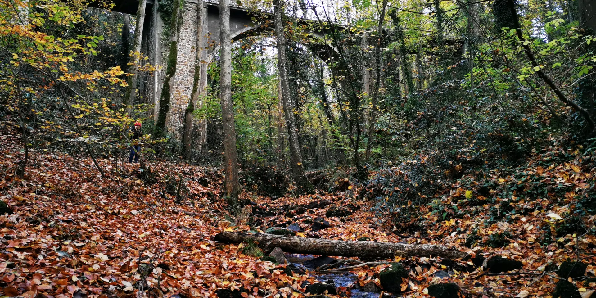 Un pont en pierre traverse une forêt dense en automne dans la vallée des peintres de Carolles