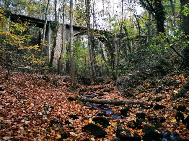 Un pont en pierre traverse une forêt dense en automne dans la vallée des peintres de Carolles