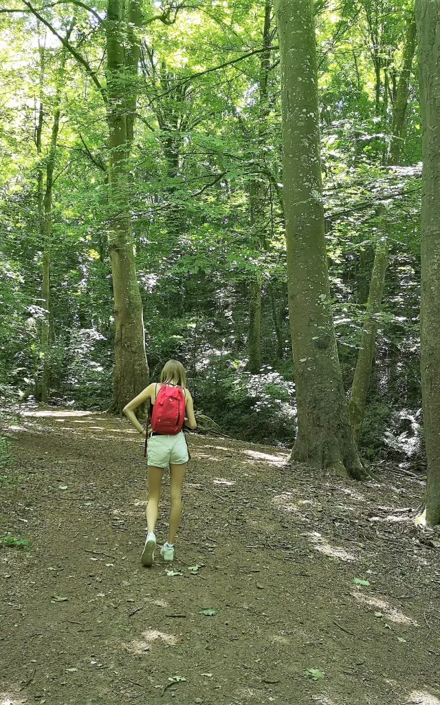 Personne marchant sur un sentier de forêt à la vallée des peintres de Carolles