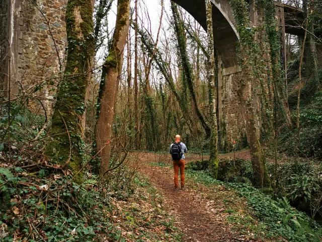 Vallée des peintres à Carolles