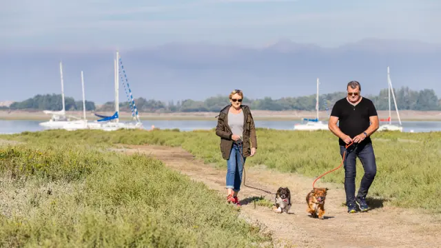 Deux personnes promènent leurs chiens à Regneville sur Mer