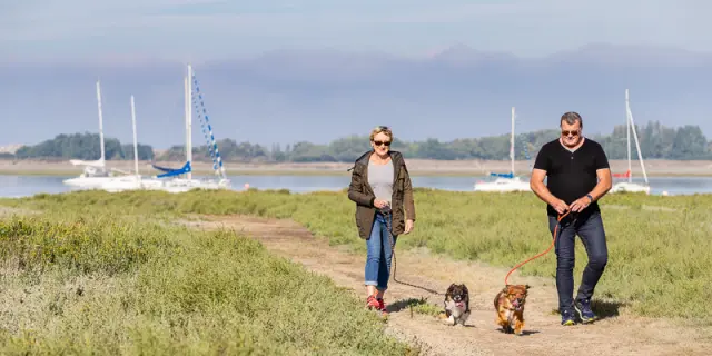 Deux personnes promènent leurs chiens à Regneville sur Mer