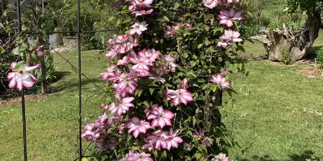 Le jardin caché à Ouville