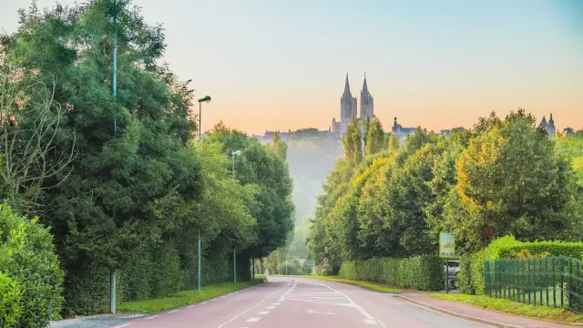 Route bordée d'arbres menant à une cathédrale