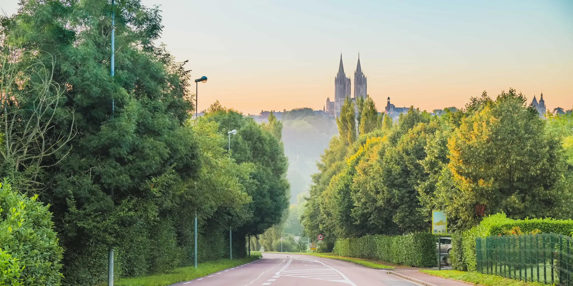 Route bordée d'arbres menant à une cathédrale