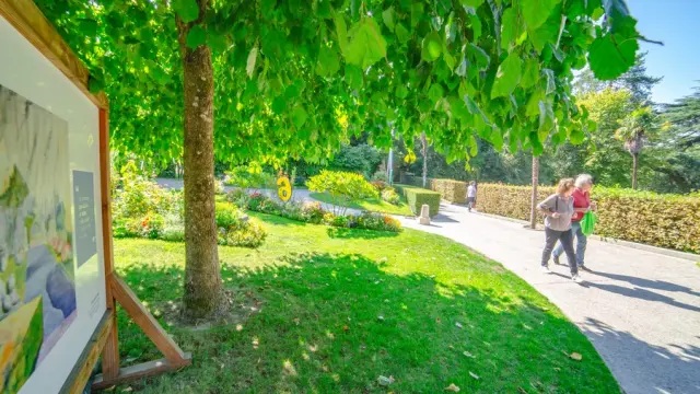 Two people walking on a path in a public garden