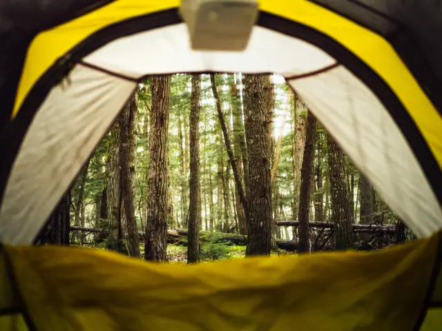 Vue de l'intérieur d'une tente jaune et noire dans une forêt dense