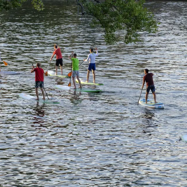 Plusieurs personnes faisant du paddle sur une étendue d'eau calme
