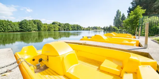 Pédalos jaunes alignés au bord de la mare de l'Essay