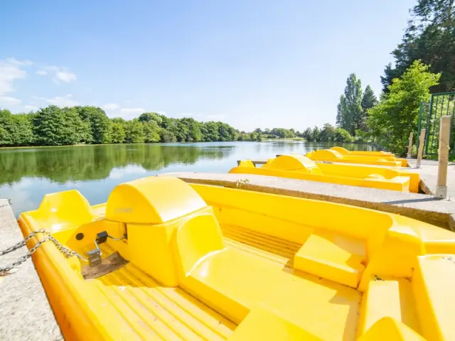 Pédalos jaunes alignés au bord de la mare de l'Essay