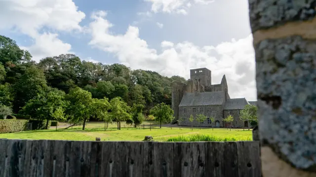 l'abbaye de Hambye entourée d'arbres et de verdure