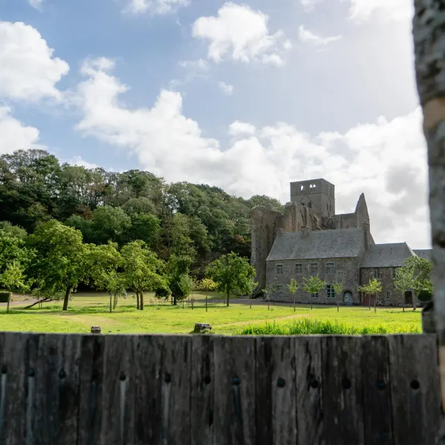 l'abbaye de Hambye entourée d'arbres et de verdure