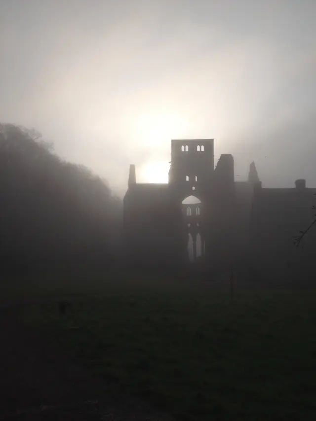 Ruines de l'abbaye de Hambye dans la brume matinale