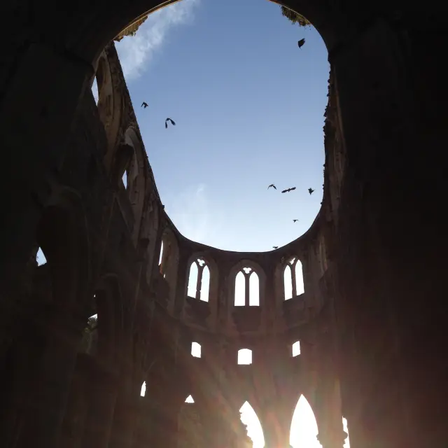 Intérieur de l'Abbaye de Hambye avec des corbeaux qui volent