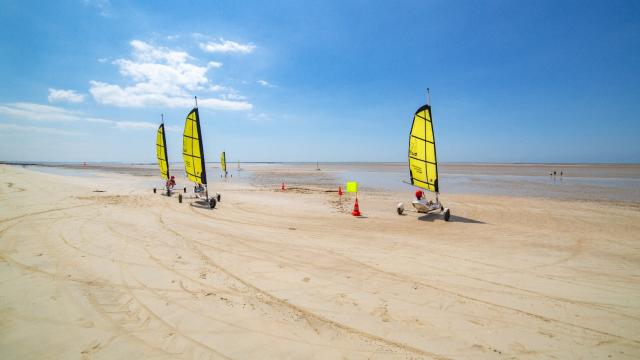 Three sailboats with yellow sails on a sandy beach