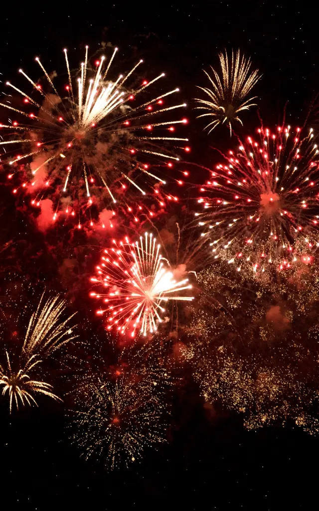 Feu d'artifice éclatant dans le ciel nocturne