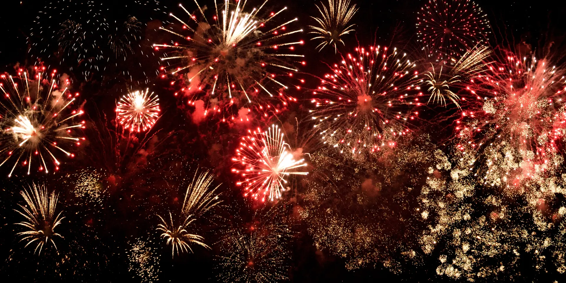 Feu d'artifice éclatant dans le ciel nocturne