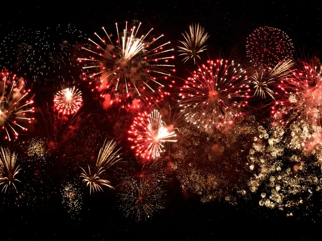 Feu d'artifice éclatant dans le ciel nocturne