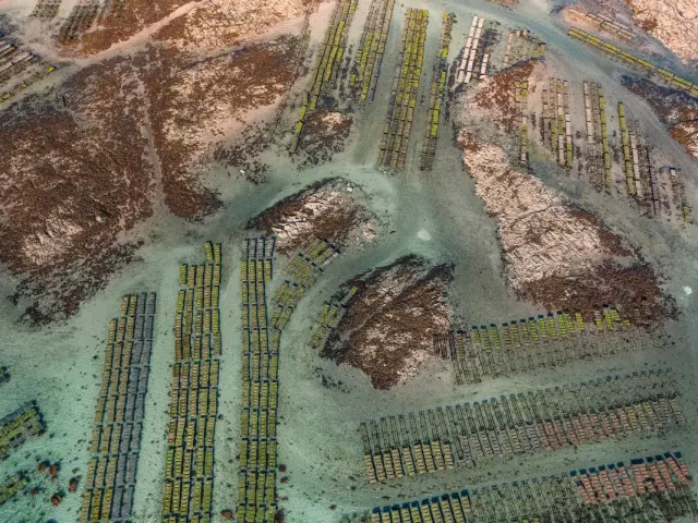 Vue aérienne des Parcs à huîtres