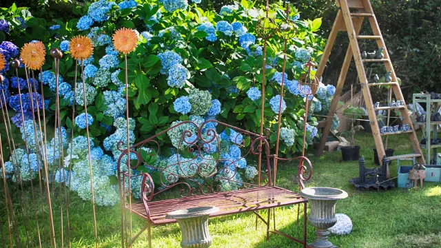 Un banc en fer forgé dans un jardin avec des fleurs bleues : A propos de Jardin au chateau de Gratot