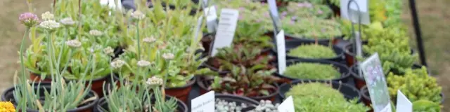 A propos de jardin au château de Gratot
