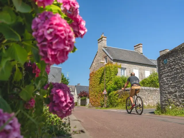 Un cycliste pédale sur une route de village entourée de fleurs roses et de maisons en pierre à Regnéville sur Mer