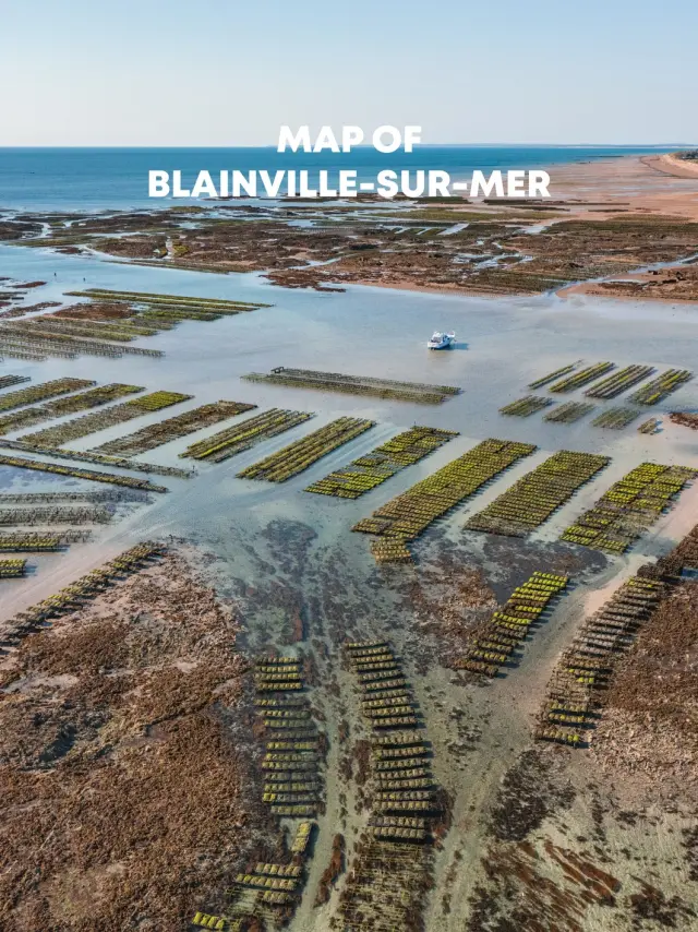 Aerial view of the oyster parks in Blainville-sur-Mer