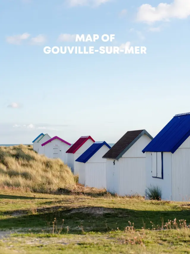 Colorful beach huts on a grassy dune